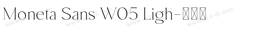 Moneta Sans W05 Ligh字体转换